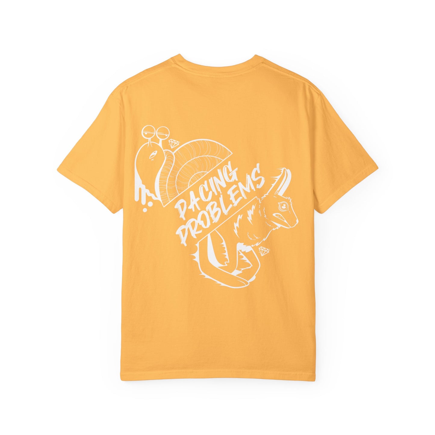 Pacing Problems T-Shirt (10 colours)